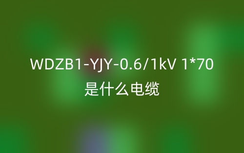 WDZB1-YJY-0.6/1kV 1*70是什么電纜？(圖1)