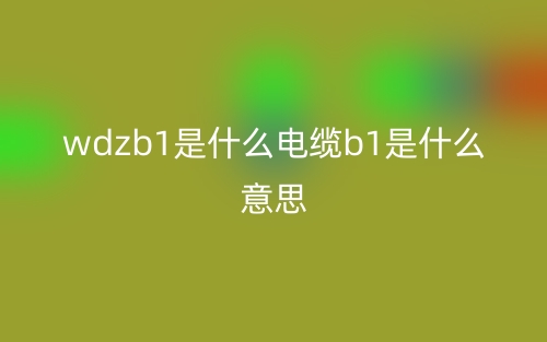 wdzb1是什么電纜b1是什么意思？(圖1)