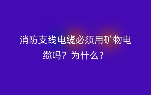 消防支線電纜必須用礦物電纜嗎？為什么？(圖1)