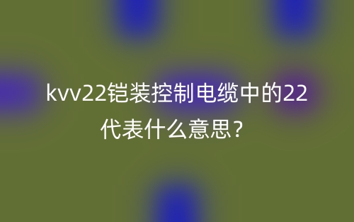 kvv22鎧裝控制電纜中的22代表什么意思？(圖1)