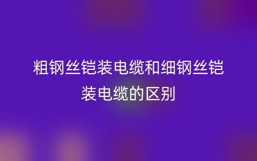 粗鋼絲鎧裝電纜和細(xì)鋼絲鎧裝電纜的區(qū)別是什么？(圖1)