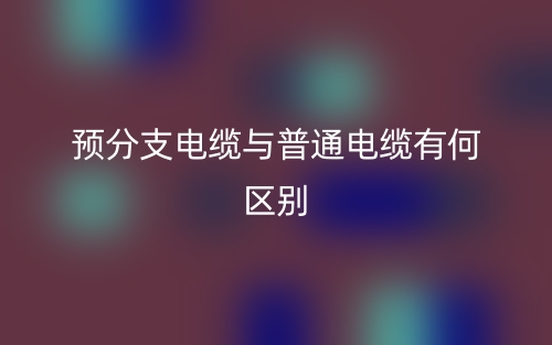 預(yù)分支電纜與普通電纜有何區(qū)別？(圖1)