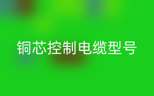 銅芯控制電纜型號(圖1)