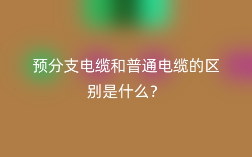 預(yù)分支電纜和普通電纜的區(qū)別是什么？(圖1)