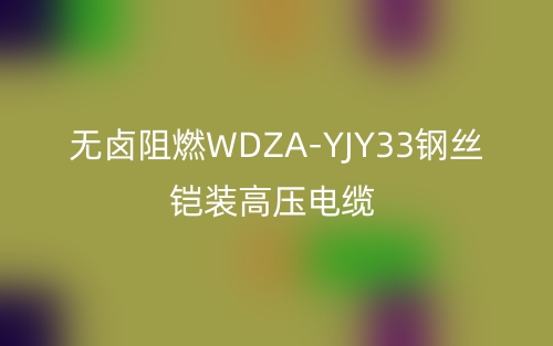 無(wú)鹵阻燃WDZA-YJY33鋼絲鎧裝高壓電纜(圖1)